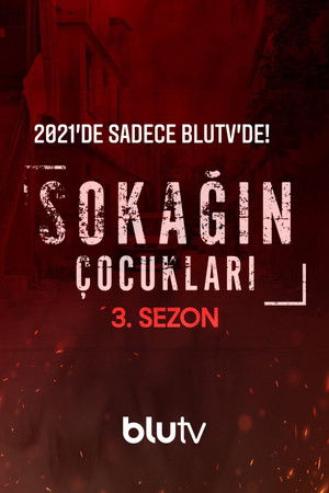 Sezon 3
