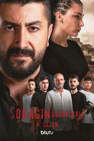 Sezon 5